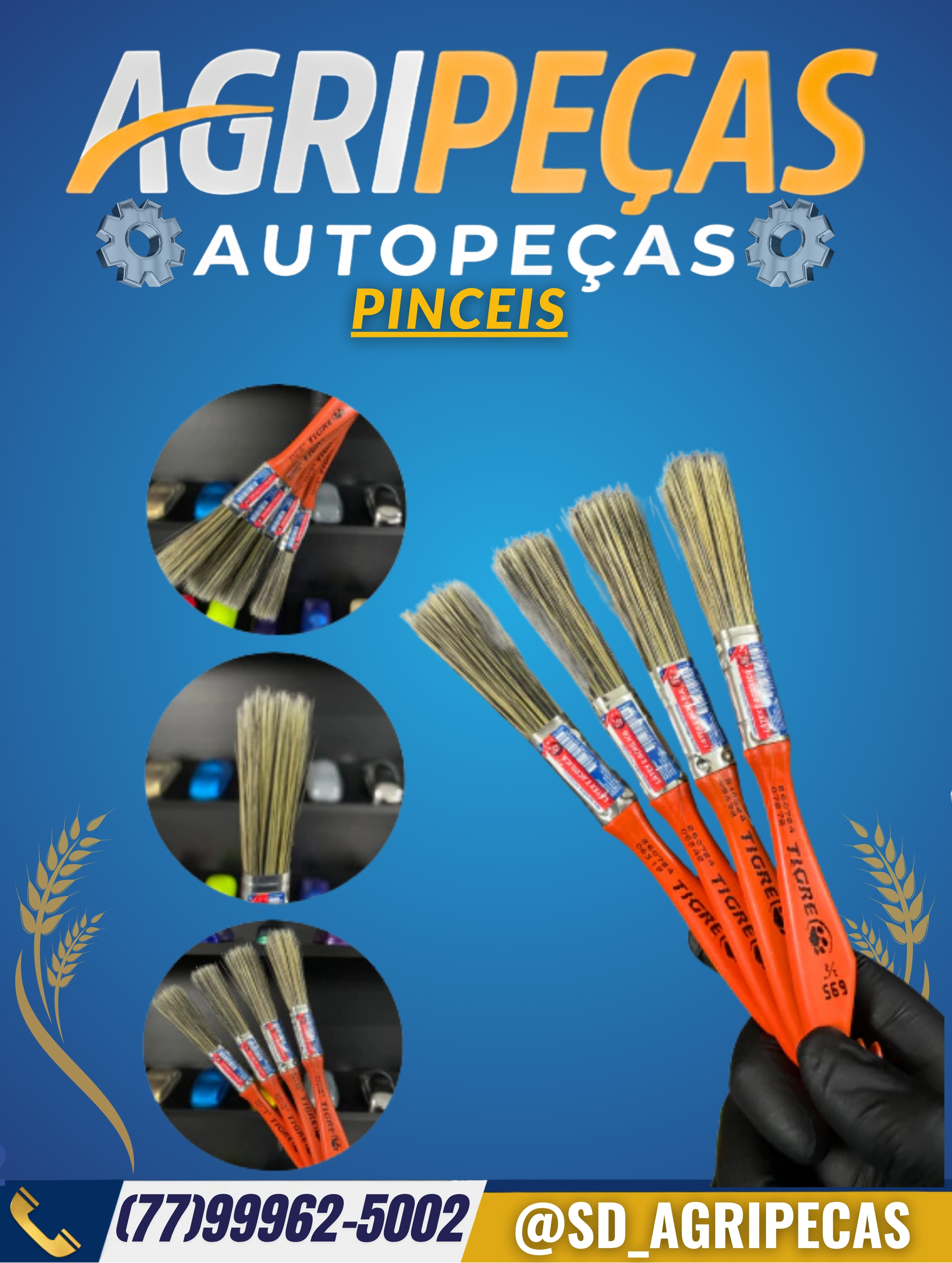 PINCEIS